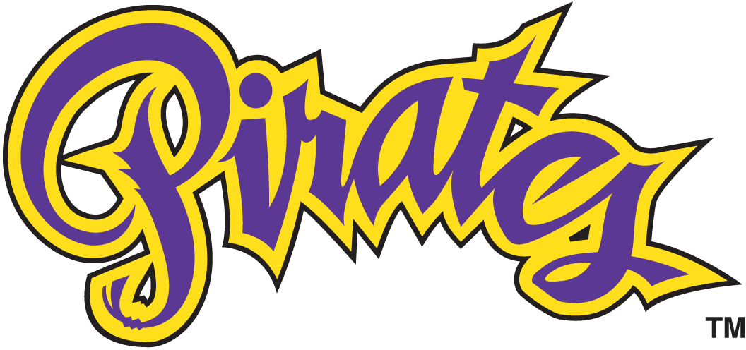East Carolina Pirates 1999-2013 Wordmark Logo v4 iron on transfers for clothing